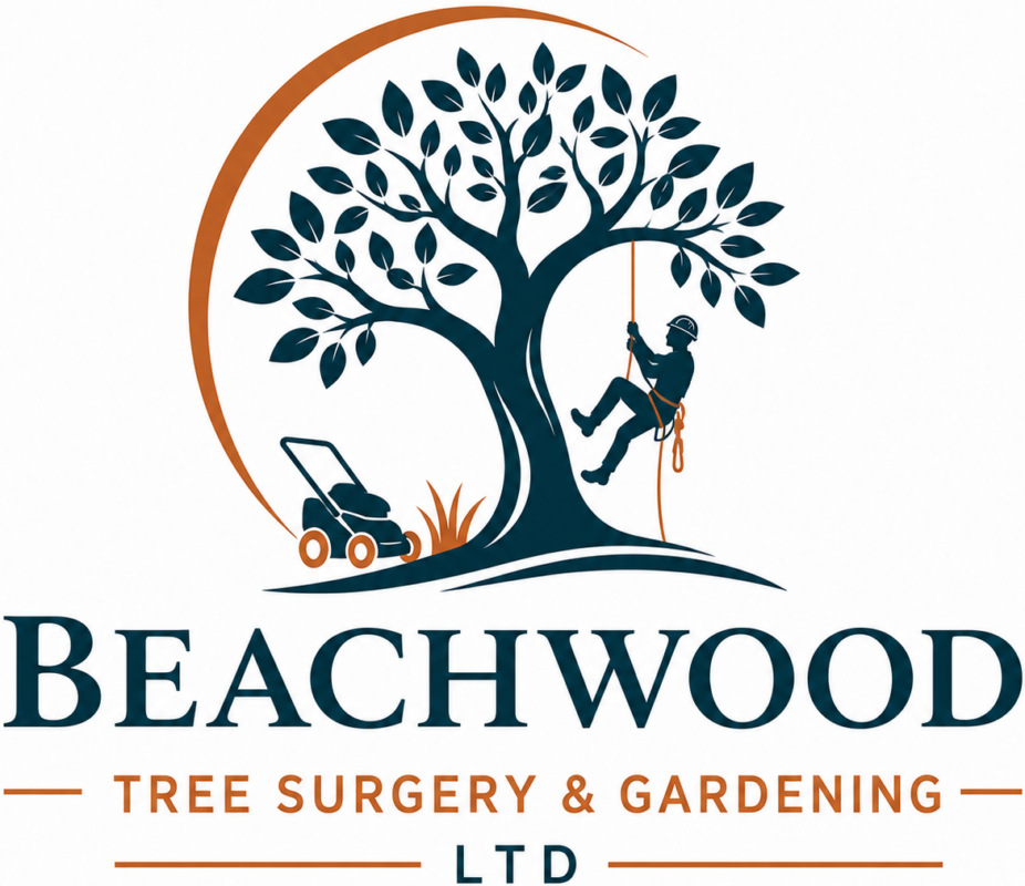 Beachwood Tree Surgery & Gardening Ltd